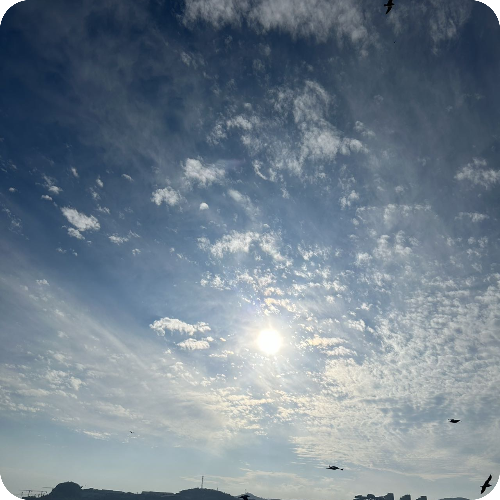 专家头像