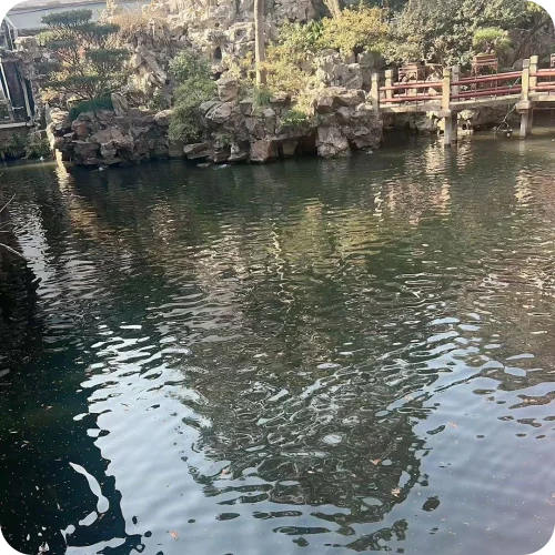 夏欢