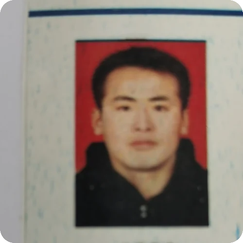田龙