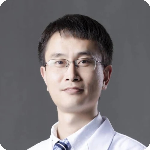 陶磊