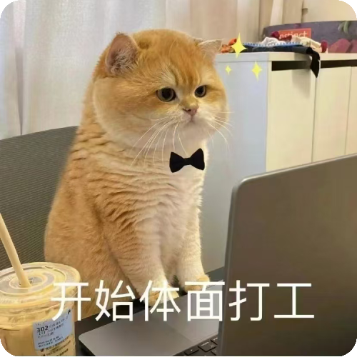 专家头像