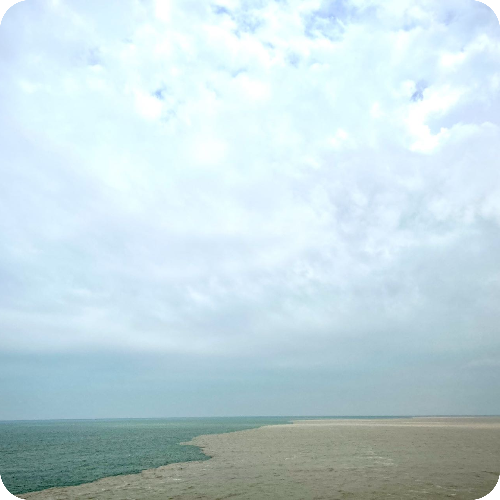 科普，默认专家医生头像