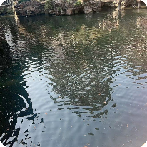 井弘宇医生头像照片