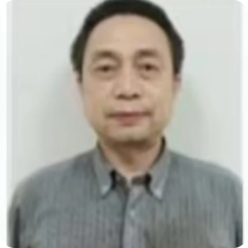 丁伟平