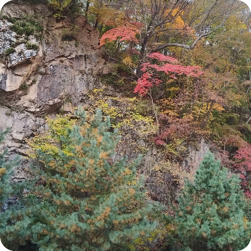 邓广春医生头像照片