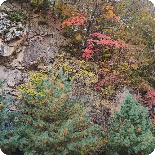 邓广春