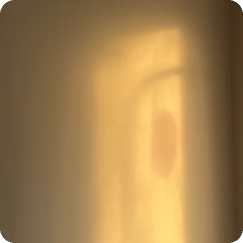栗西彤