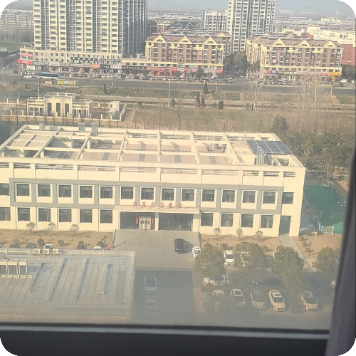 专家头像