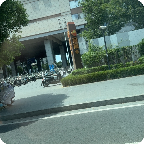 专家头像