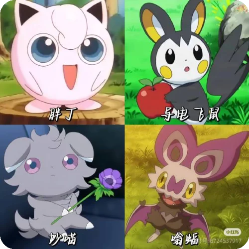 陈旎珺