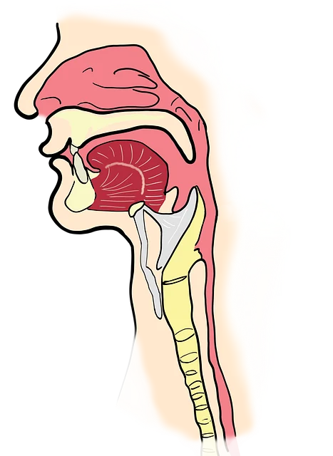 认识慢性咽炎：症状、诊断与治疗指南