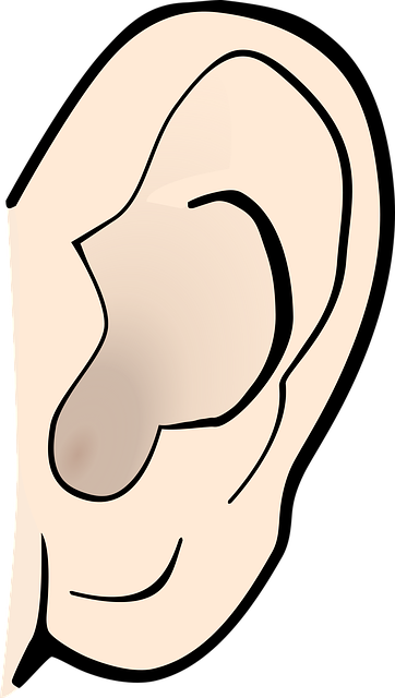 外耳道<span style="color: #da4707">湿疹</span>：从困扰到<span style="color: #da4707">康复</span>的科学之路