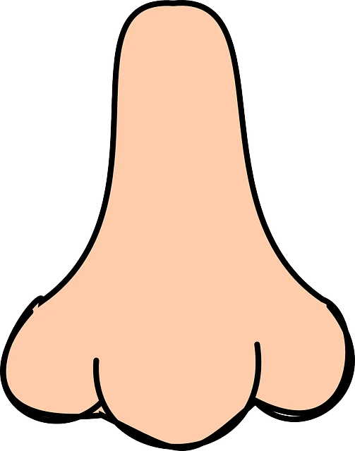 慢性鼻窦炎和鼻息肉：什么是它们以及如何预防？