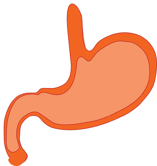 胃肠功能紊乱——保护肠道健康，从科学用药做起！