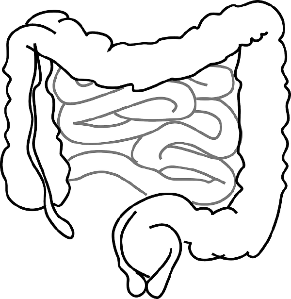 直肠肿瘤术后复查别大意——科学保健助健康