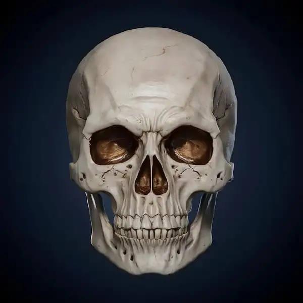 日常生活中的意外伤害：了解头部损伤和骨折的预防与治疗!