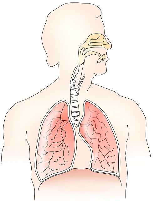 全面了解急性支气管炎与流行性感冒:从病因到治疗