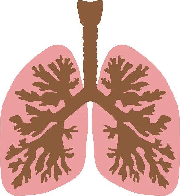 意外的急性侵袭:揭开急性支气管炎的面纱!