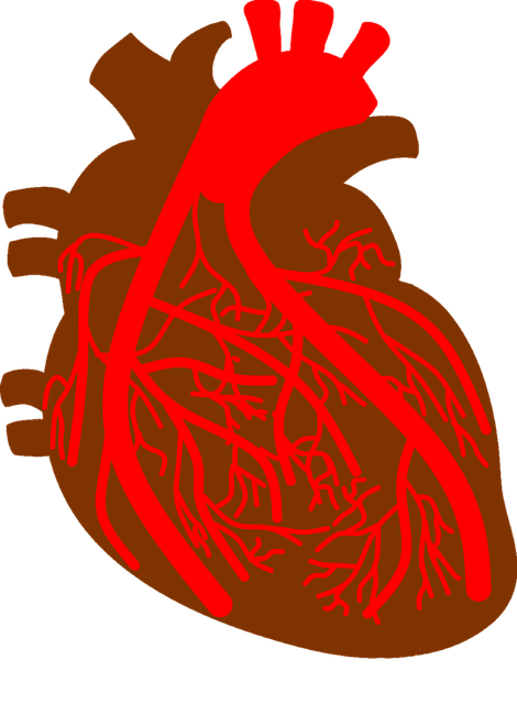 冠心病及合并症的全面管理：从诊断到生活<span style="color: #da4707">调节</span>