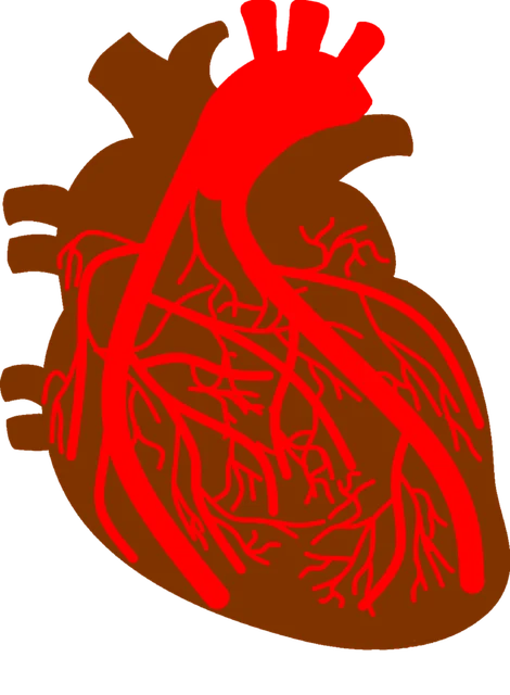 冠心病及合并症的全面管理：从诊断到生活调节