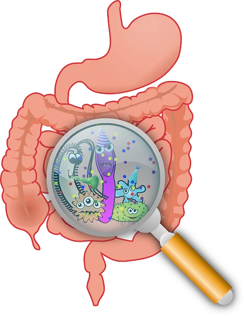 抗癌药物的神奇旅程！——结肠恶性肿瘤的药物治疗全揭秘