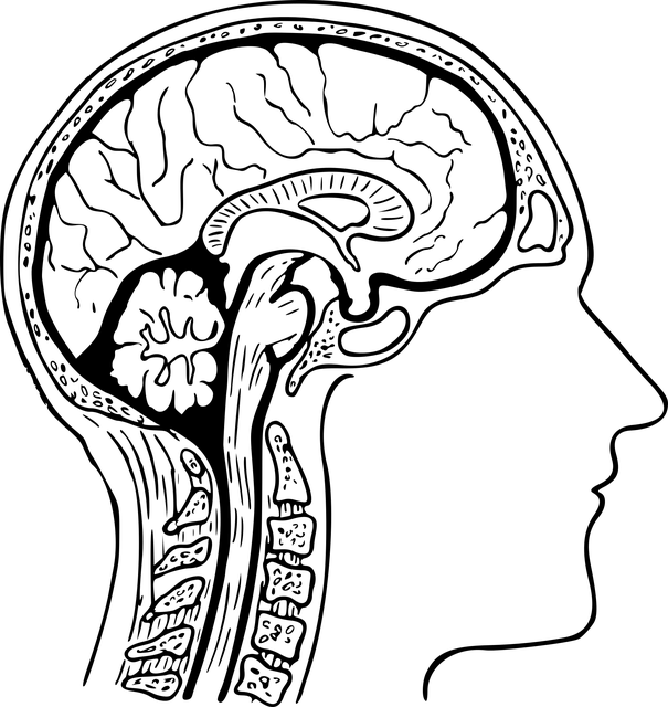警惕急性硬膜外<span style="color: #da4707">出血</span>的潜伏<span style="color: #da4707">危险</span>，早发现早治疗！