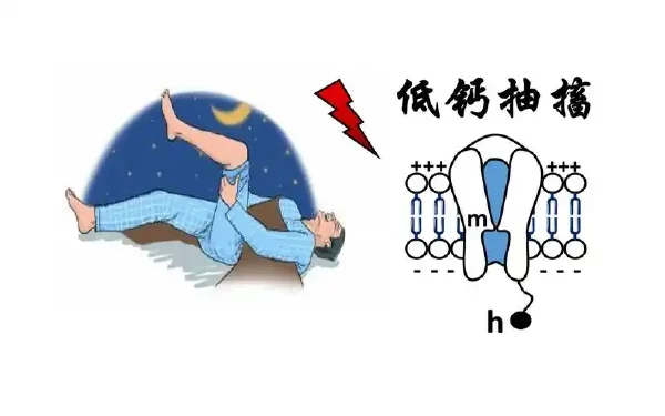 低钙血症：你需要了解的那些事儿！