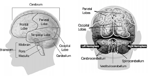 如何科学管理脑出血相关疾病?