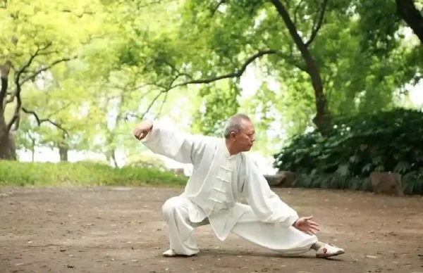 中医古法经络养生：千年智慧的结晶