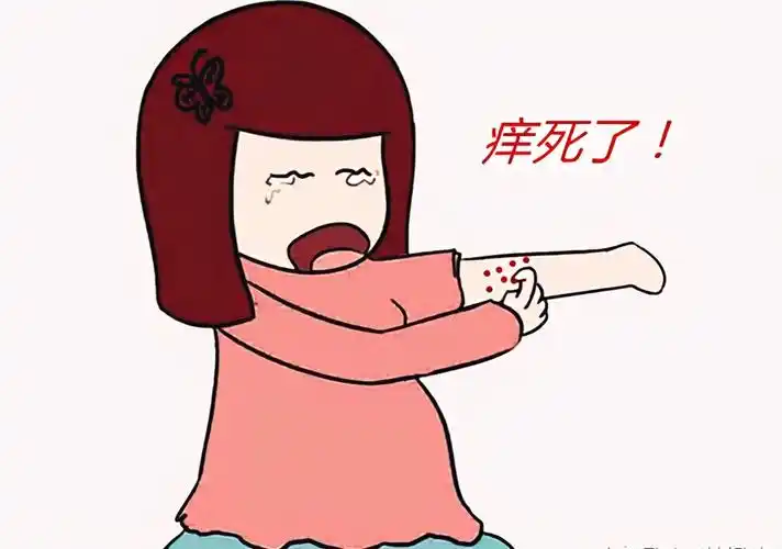 解密慢性荨麻疹：从症状到预防，你需要知道的一切封面图