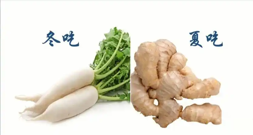 民谚揭秘：“冬吃萝卜夏吃姜”，这说法<span style="color: #da4707">靠</span><span style="color: #da4707">谱</span><span style="color: #da4707">吗</span>？