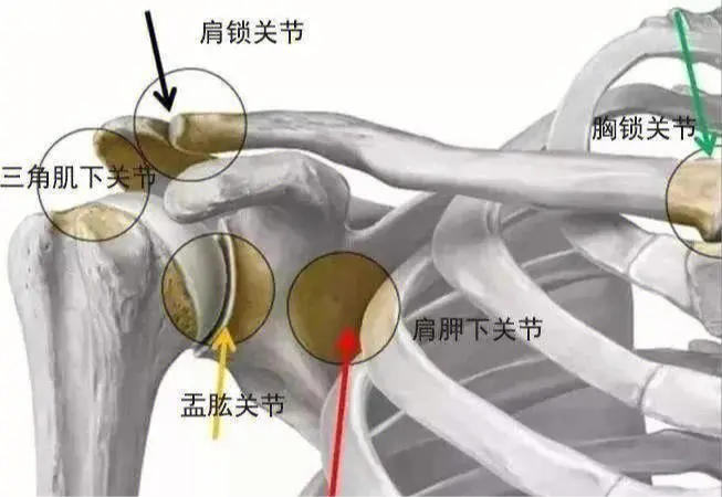 肩关节僵硬？肩袖修补术了解一下！封面图