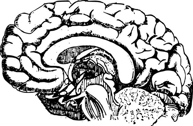 智慧药箱：揭秘救命<span style="color: #da4707">药物</span>在急性脑梗死中的<span style="color: #da4707">奇迹</span>作用！
