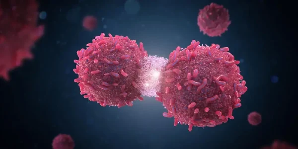 战胜癌症,我们并不孤单!——浅谈恶性肿瘤的术后复查与管理