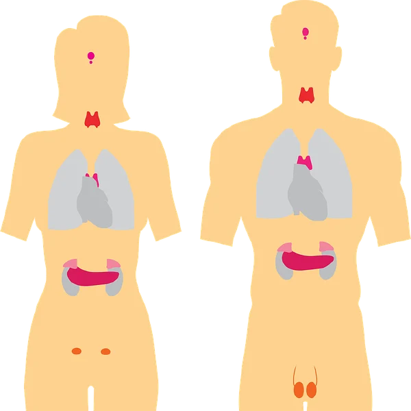 急性胰腺炎：从发病到恢复的全面指南
