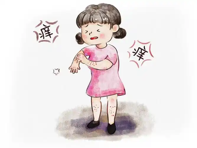 皮炎：识别、治疗与预防<span style="color: #da4707">全</span><span style="color: #da4707">指南</span>