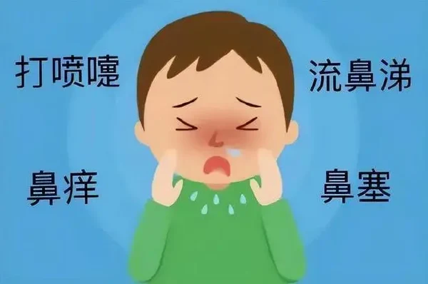 全面了解鼻炎:从诊断到治疗