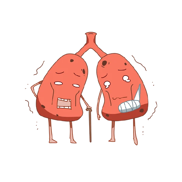 全面解析：肺部感染及其综合治疗管理