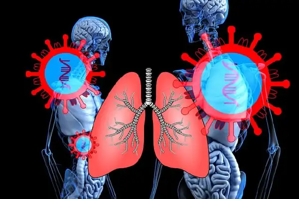 肺癌治疗中的药物妙用与风险!科学用药,健康相伴