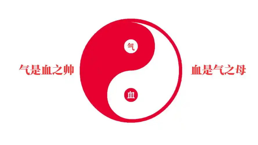 养生秘籍大公开:养气,让你的身体充满活力