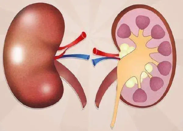 岁月的沉淀：老年患者的慢性健康困扰与智慧应对