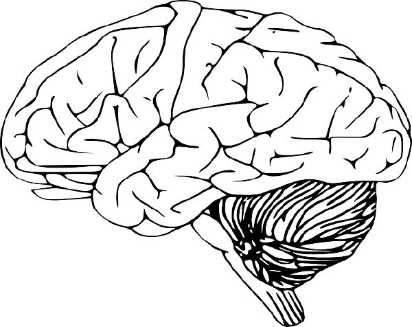 中毒性脑病与脑梗死：诊断、治疗及生活调整 - 健康科普、医学科普、中医科普、儿童科普、科普中国