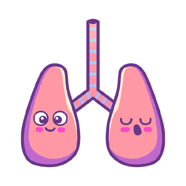 急性支气管炎的全面解析：从诊断到治疗与管理