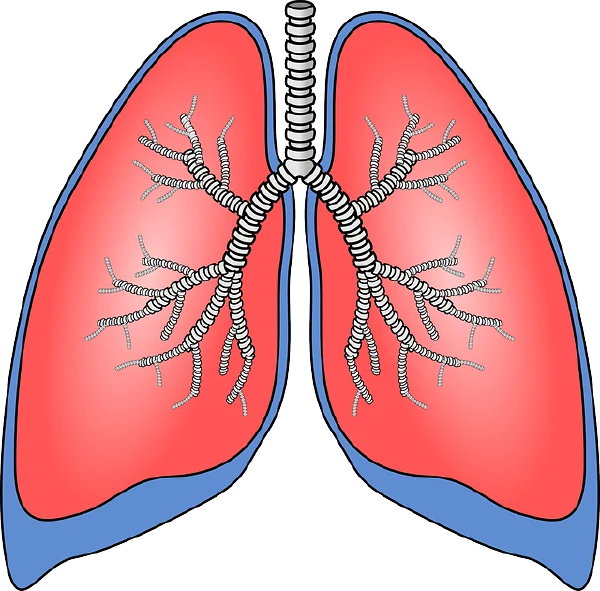 重视肺结节病的早期发现和治疗，守护呼吸健康！