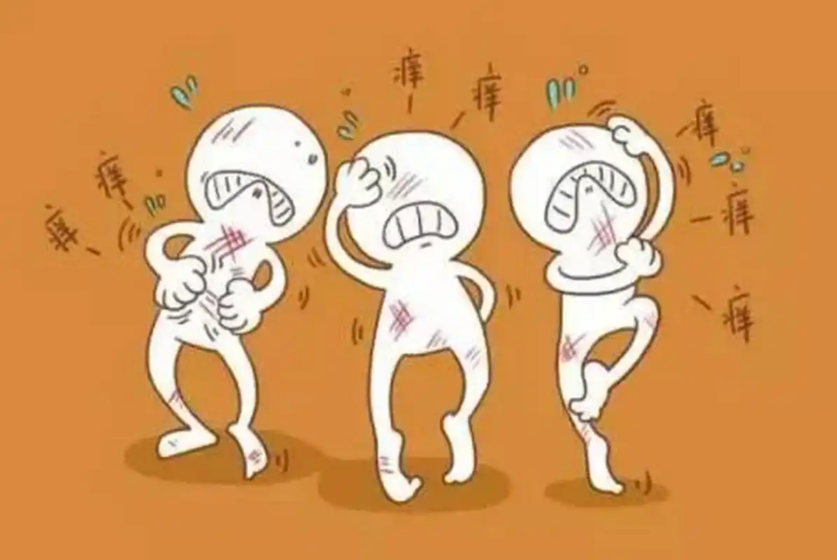 荨麻疹来袭—小心这种“皮肤风暴”！封面图