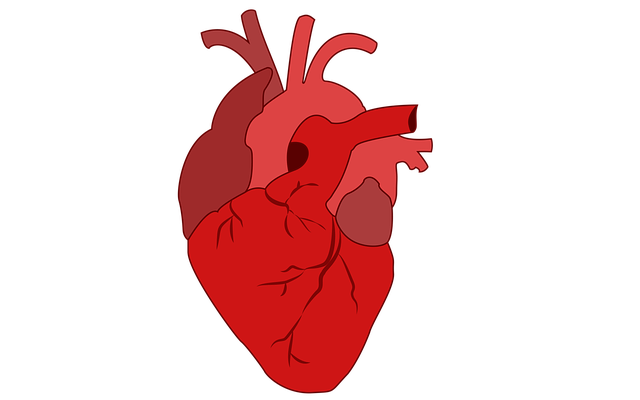 别担心，我们有<span style="color: #da4707">办法</span>！
