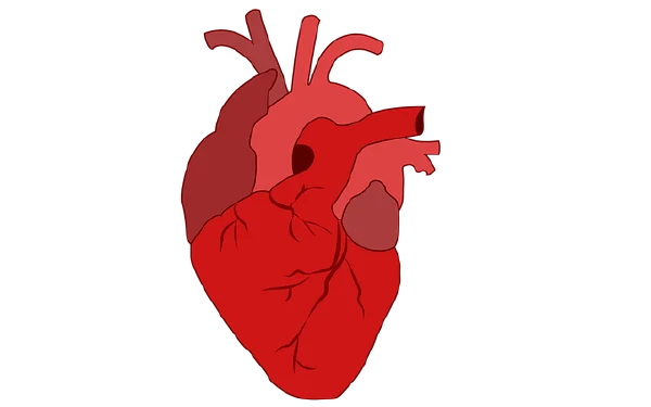 心房颤动、室性期前收缩？别担心，我们有办法！